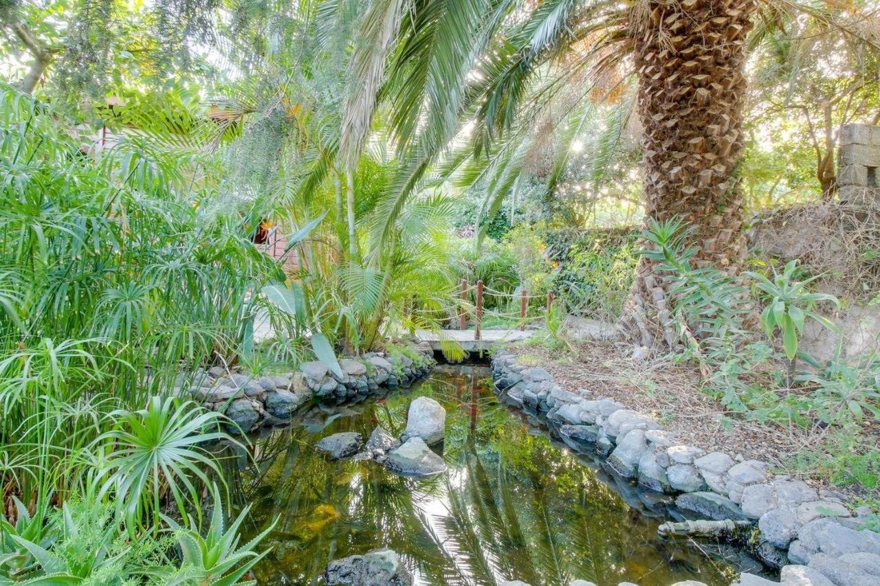 Villa Mimosa Arafo Esterno foto
