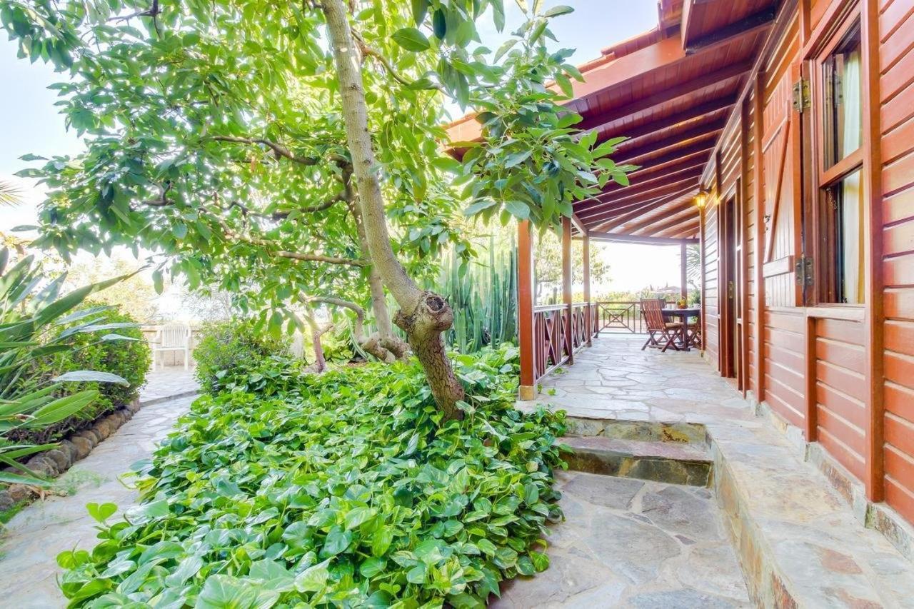Villa Mimosa Arafo Esterno foto